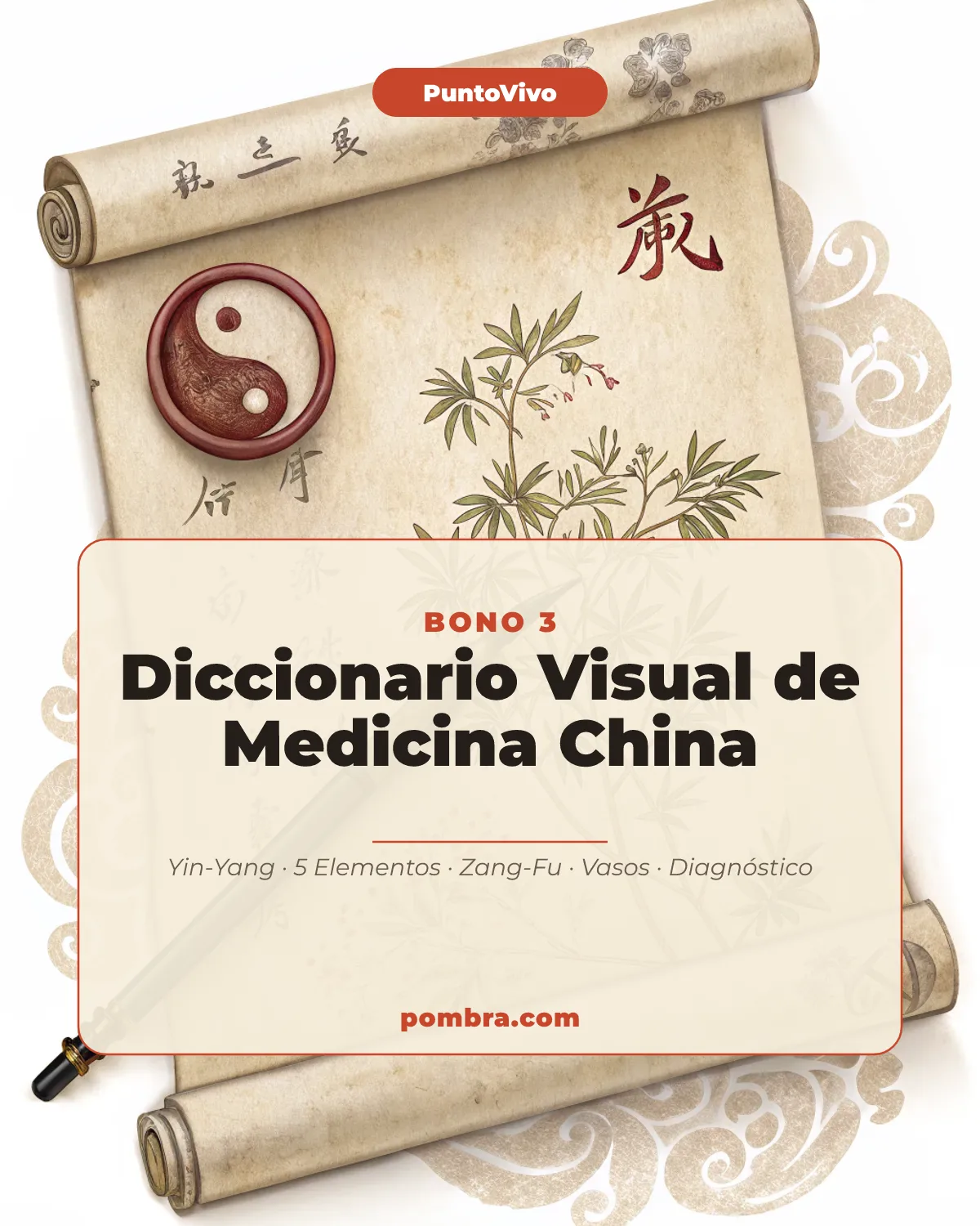 Mini-portada del bonus: Diccionario Visual de Medicina China: Qi, Yin-Yang, 5 Elementos y Zang-Fu
