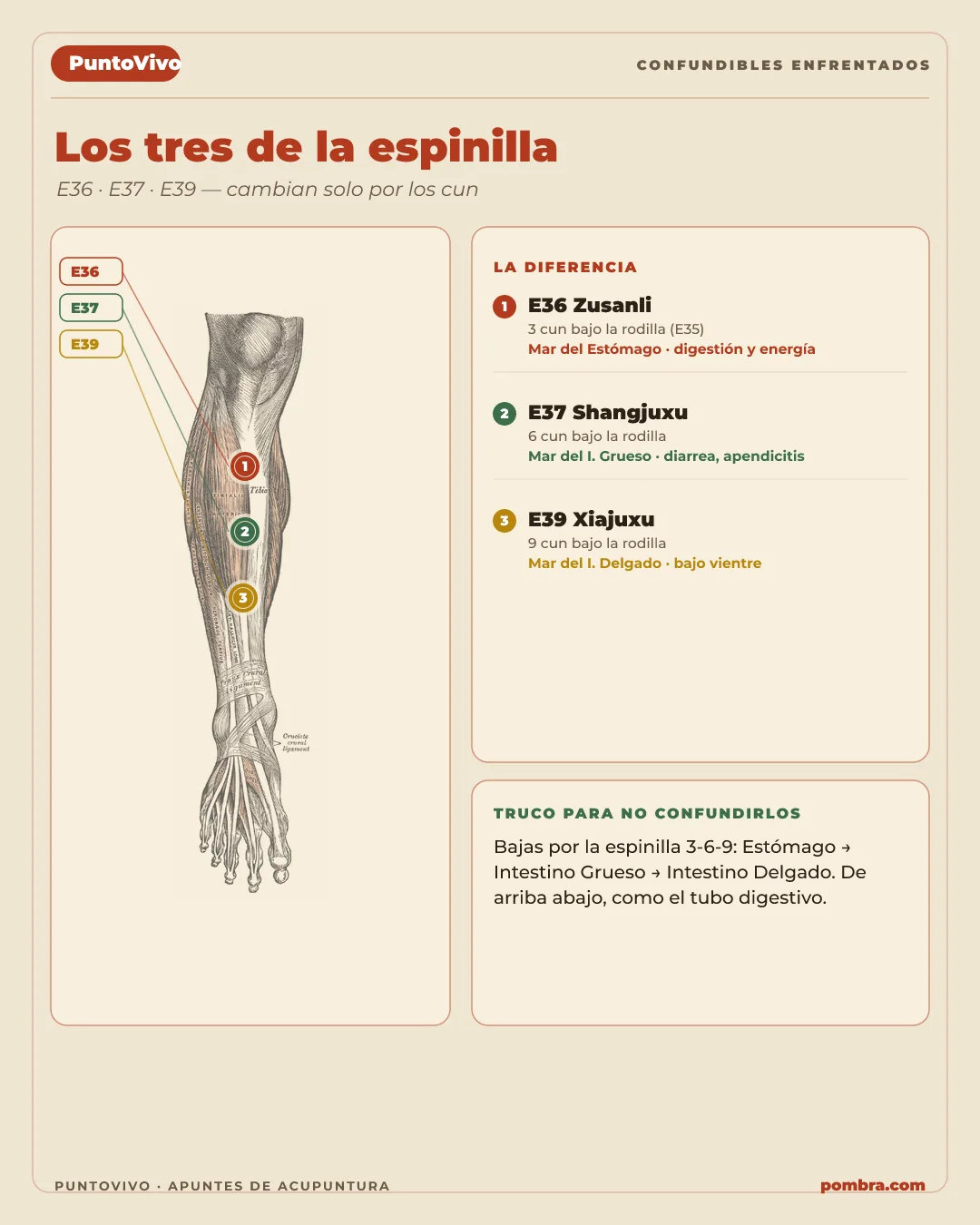 Página de confundibles enfrentados: dos puntos vecinos lado a lado con la diferencia resaltada.