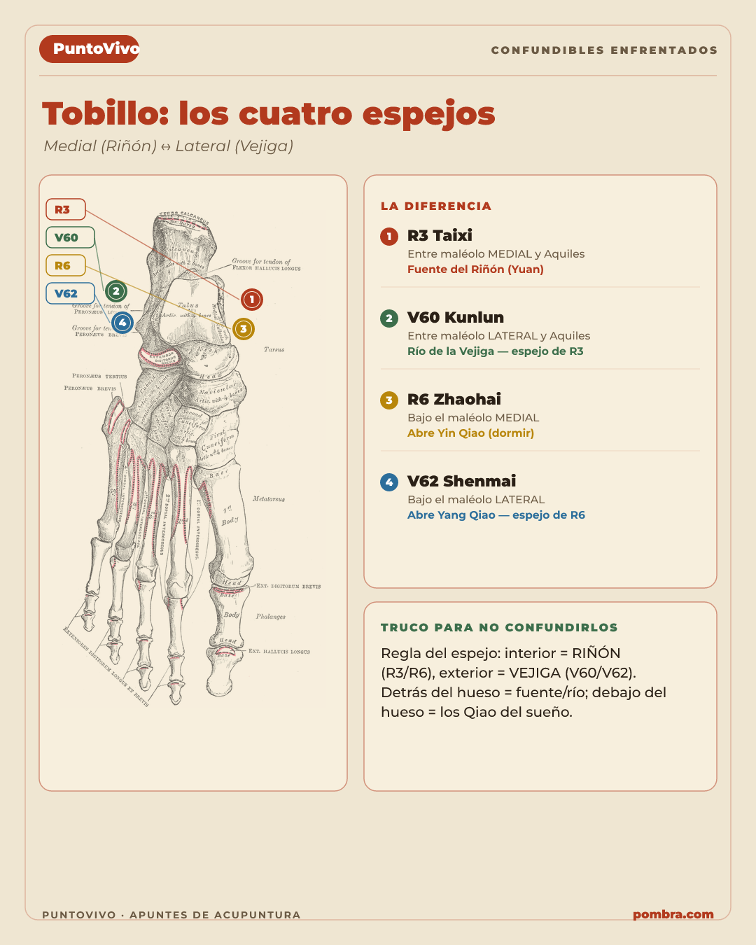 Una página de confundibles enfrentados completa: dos puntos vecinos lado a lado, con la diferencia clave resaltada.