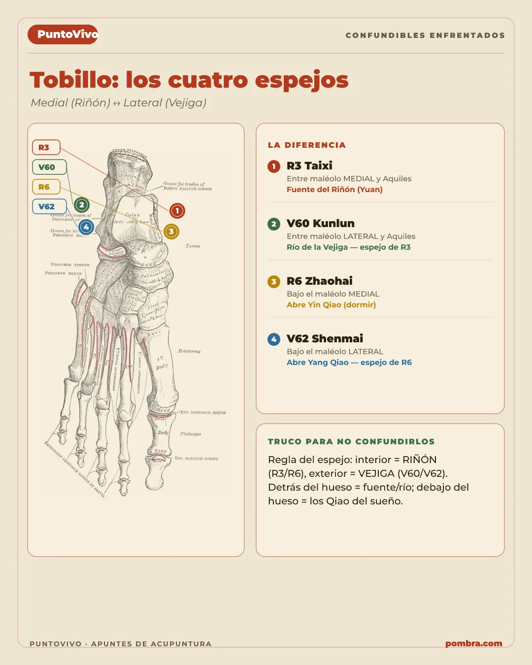Una página de confundibles enfrentados completa: dos puntos vecinos lado a lado, con la diferencia clave resaltada.