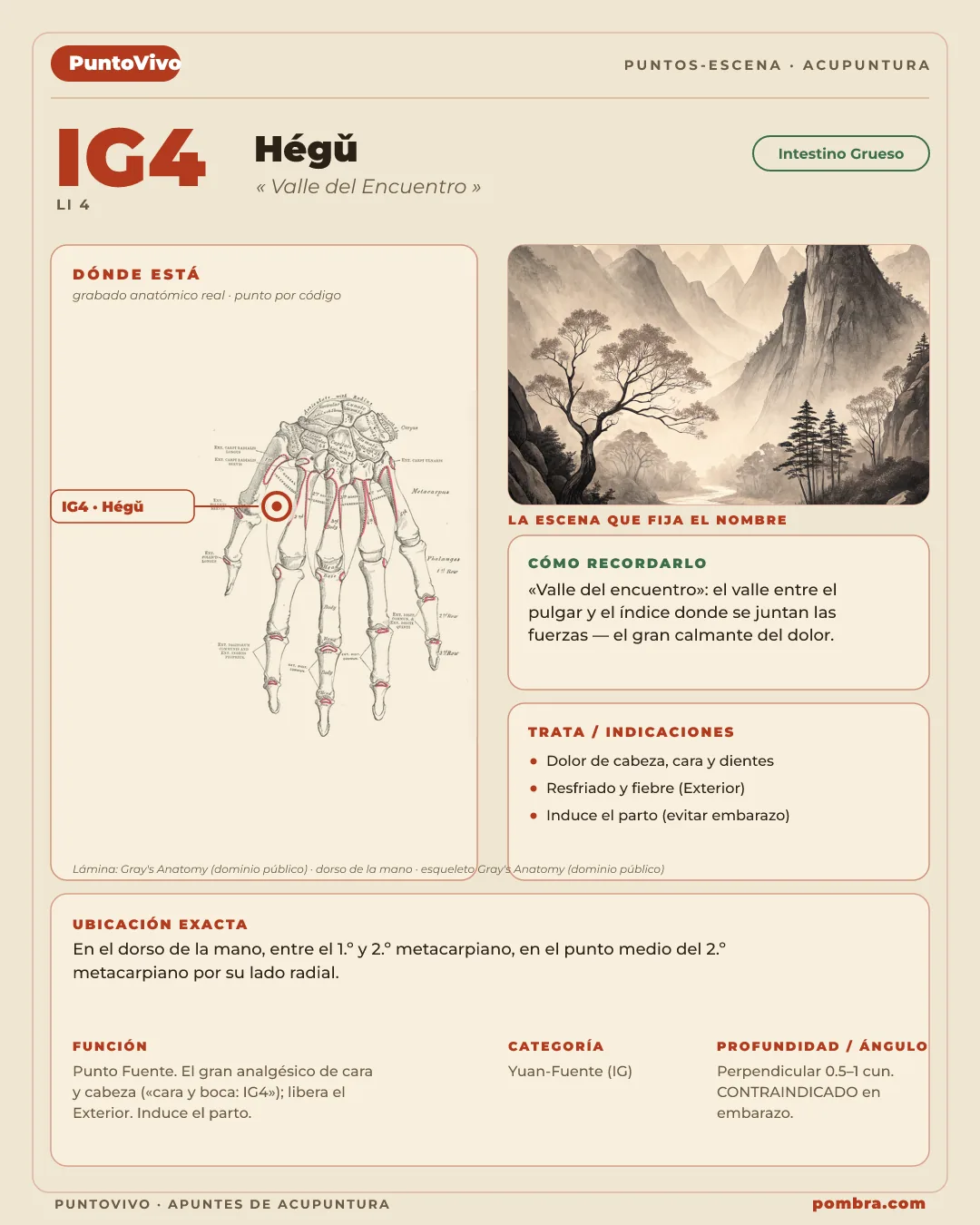 Mockup principal (héroe visual): apuntes abiertos en un Punto-Escena (ej. IG4 Hegu, 'Valle del Encuentro') — ubicación + escena del nombre + íconos de meridiano/función. Reaparece en stack/pricing/cierre.